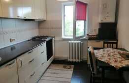 Apartament 2 camere, 43 mp, renovat, zona Interservisan