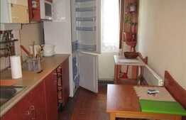 De inchiriat apartament cu 2 camere, 45 mp, zona Casei de Cultura
