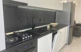 Apartament de 2 camere, 45 mp, garaj, zona Corneliu Coposu