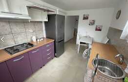 Apartament 2 camere semidecomandat 55mp, zona Plopilor