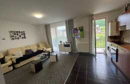 Apartament 2 camere, 50 mp, semidecomandat, zona Porii