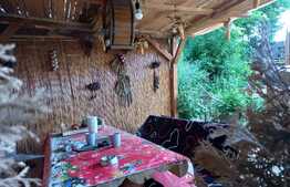 Comision 0!! Casa saseasca renovata, 3 camere, 100mp utili, 500mp teren, 15 km de Brasov, Feldioara.