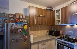 Apartament de 3 camere, etaj intermediar, boxa, parcare, zona Dorobantilor