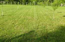 Casa 5 camere, 157 mp, teren 933 mp, Corusu