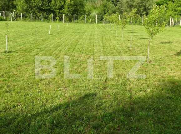 Casa de vânzare 5 camere Baciu - 87961CV | BLITZ Cluj-Napoca | Poza6