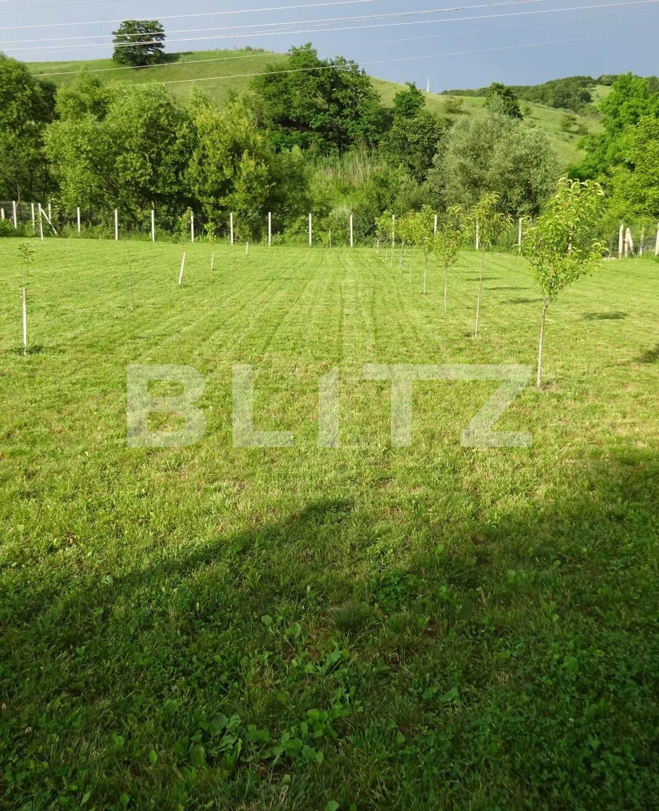 Casa de vânzare 5 camere Baciu - 87961CV | BLITZ Cluj-Napoca | Poza6