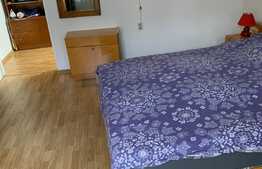 Apartartament 2 camere, 65 mp , la curte, zona strazii Hasdeu