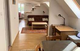 Apartartament 2 camere, 65 mp , la curte, zona strazii Hasdeu