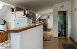 Apartartament 2 camere, 65 mp , la curte, zona strazii Hasdeu