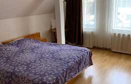 Apartartament 2 camere, 65 mp , la curte, zona strazii Hasdeu