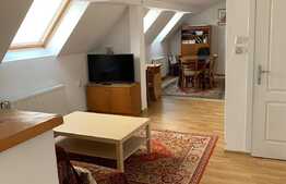 Apartartament 2 camere, 65 mp , la curte, zona strazii Hasdeu