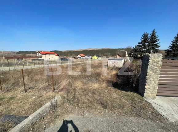 Teren de vânzare Gilău - 88025TV | BLITZ Cluj-Napoca | Poza2