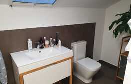 Reducere de pret! Duplex mobilat si utilat, 119 mp, teren 250 mp, zona Terra 