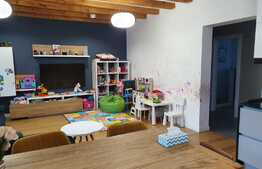 Reducere de pret! Duplex mobilat si utilat, 119 mp, teren 250 mp, zona Terra 