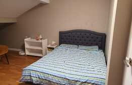 Reducere de pret! Duplex mobilat si utilat, 119 mp, teren 250 mp, zona Terra 