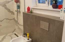 Reducere de pret! Duplex mobilat si utilat, 119 mp, teren 250 mp, zona Terra 