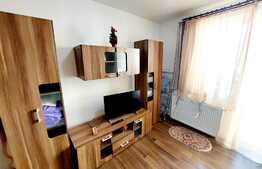 Apartament spatios de 2 camere decomandate, 48mp, 2 balcoane! Zona Terra