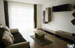 1 camera, 43 mp, decomandat, mobilat modern, zona strazii Buna Ziua