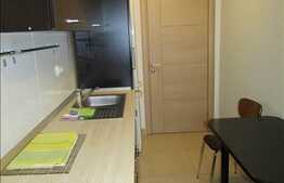 1 camera, 43 mp, decomandat, mobilat modern, zona strazii Buna Ziua