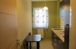 1 camera, 43 mp, decomandat, mobilat modern, zona strazii Buna Ziua