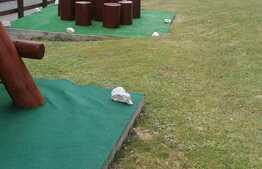 De vanzare cabana Rachitele, zona montana superba