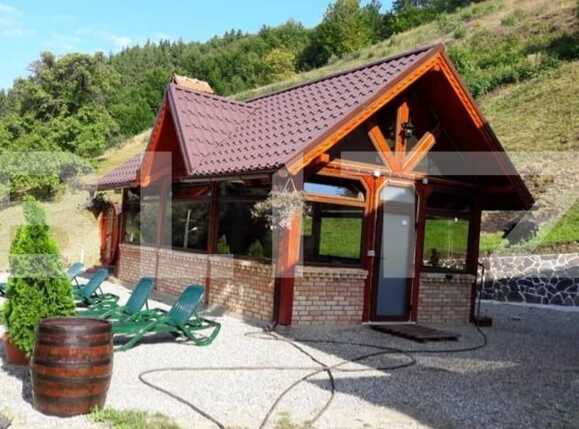 Casa de vânzare 9 camere Exterior Vest - 88087CV | BLITZ Cluj-Napoca | Poza13