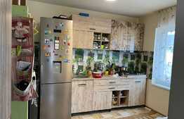 Casă individuală, finisată, 4 camere, 407 mp teren, Jucu