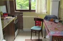 Vanzare 2 camere, 44 mp utili, zona Taietura Turcului, mobilat, etaj intermediar