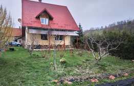 Casa 150 mp, 4500 mp teren, zona Bran