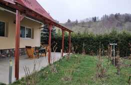 Casa 150 mp, 4500 mp teren, zona Bran