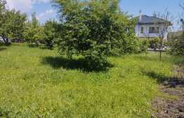 Teren construibil 1285mp, zona rezidentiala, Borhanci