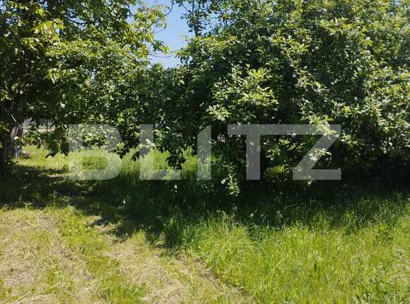 Teren de vânzare Borhanci - 88184TV | BLITZ Cluj-Napoca | Poza4