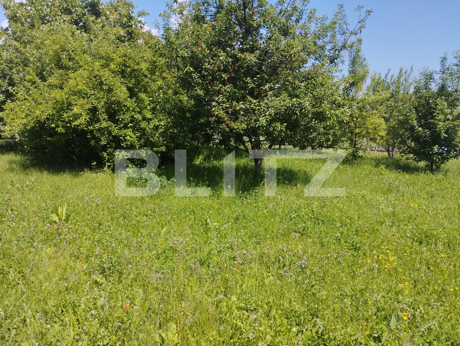 Teren de vânzare Borhanci - 88184TV | BLITZ Cluj-Napoca | Poza5