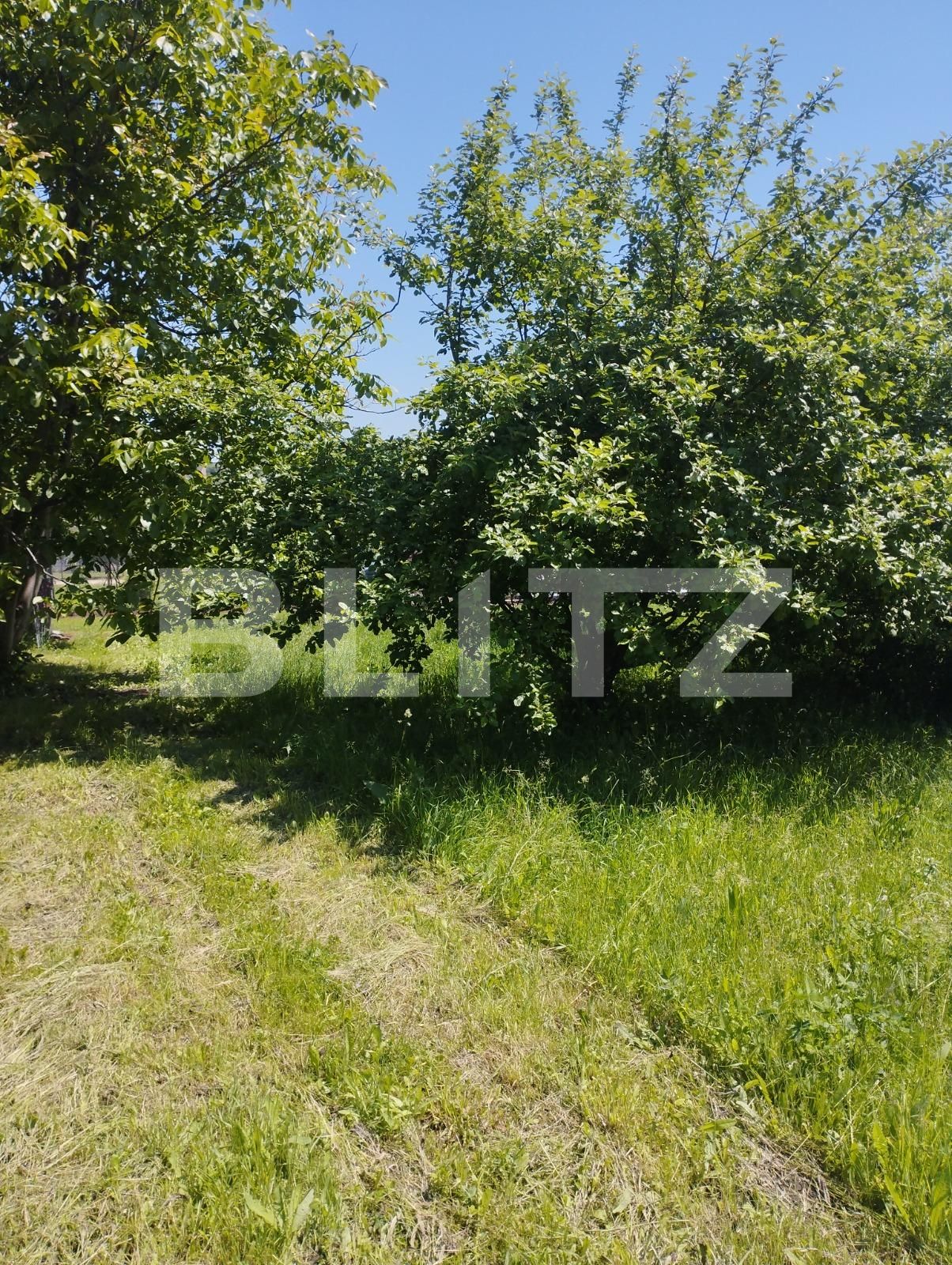 Teren de vânzare Borhanci - 88184TV | BLITZ Cluj-Napoca | Poza4