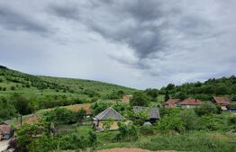 De vanzare casa individuala,110 mp utili, 850 mp teren,panorama