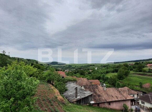 Casa de vânzare 4 camere Suceagu - 88187CV | BLITZ Cluj-Napoca | Poza9