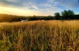 Teren intravilan 1129 mp, PUZ in lucru, in Borhanci 