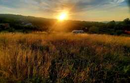 Teren intravilan 1129 mp, PUZ in lucru, in Borhanci 