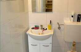 Apartament 1 camera, zona PIATA MUZEULUI, 28 mp