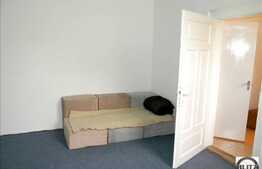 Apartament 1 camera, zona PIATA MUZEULUI, 28 mp