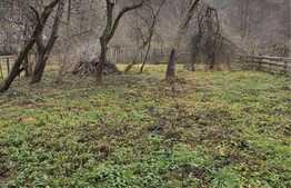 Casa 2 camere, 780 mp teren 