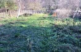 Casa 2 camere, 780 mp teren 