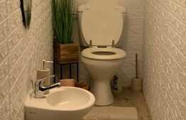 Casa moderna de 250 mp, 4 camere, zona Fagaras