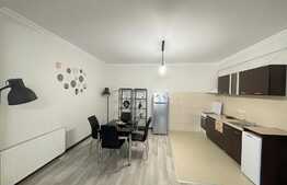 Apartament 2 camere, 80 mp, zona Horea