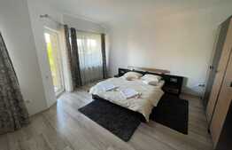 Casa individuala, 280 mp utili, 390 mp teren, in Dambu Rotund