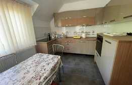 Casa individuala, 280 mp utili, 390 mp teren, in Dambu Rotund