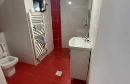 Casa individuala, 280 mp utili, 390 mp teren, in Dambu Rotund