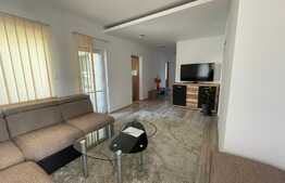 Casa individuala, 280 mp utili, 390 mp teren, in Dambu Rotund