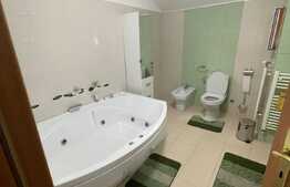 Casa individuala, 280 mp utili, 390 mp teren, in Dambu Rotund