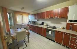 Casa individuala, 280 mp utili, 390 mp teren, in Dambu Rotund